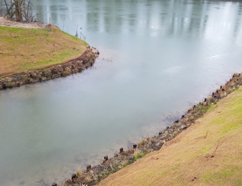 Restaurationde la continuité du plan d’eau de Chamalan sur la commune de QUINCIEUX(69)