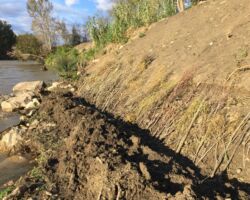 Aménagement du GARDON dans la traversée de MONTFRIN (30)