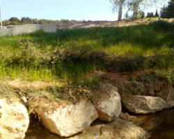 Travaux d'aménagement de deux rampes à anguilles sur l'ARC aval (13)