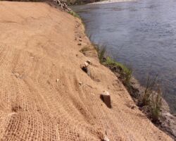Travaux de confortement du pied de berge en rive gauche de la Cèze (30)