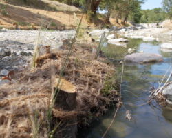 Travaux de mesures compensatoires du COULAZOU- commune de FABREGUES (34)