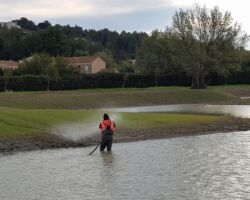 Restauration fonctionnelle et reconquete de ZH de la Jacottre (30)
